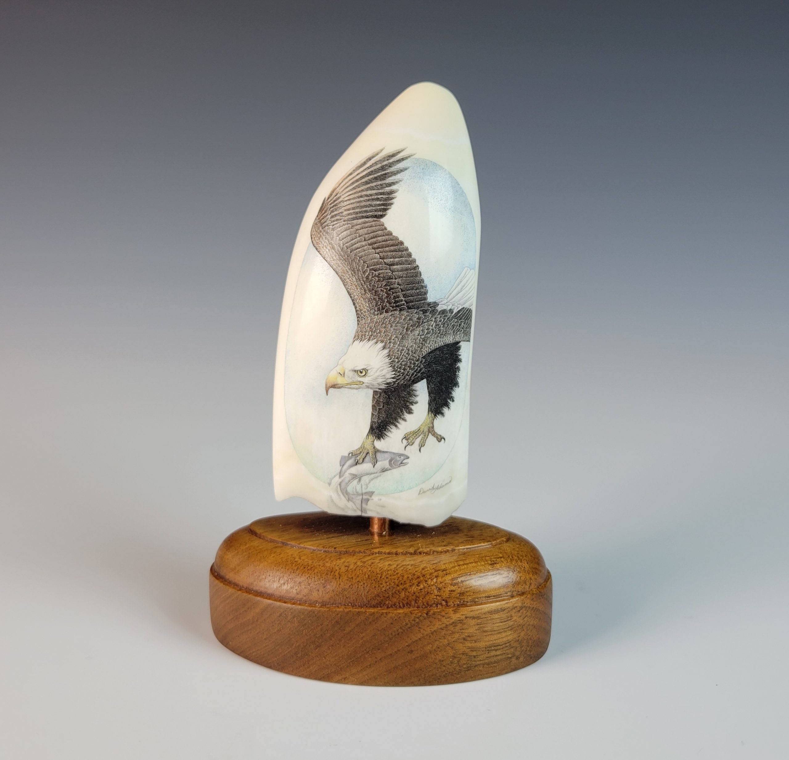 Soaring Eagle Scrimshaw by David Adams – Northwest Tribal Art