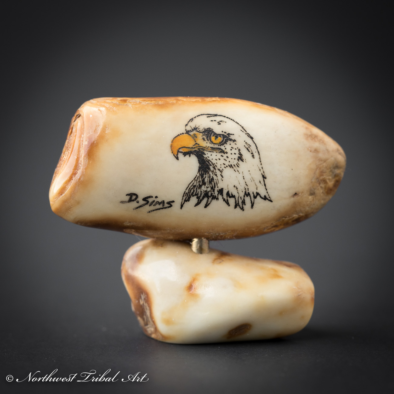 Bald Eagle On Walrus Tooth by Dennis Sim – Northwest Tribal Art